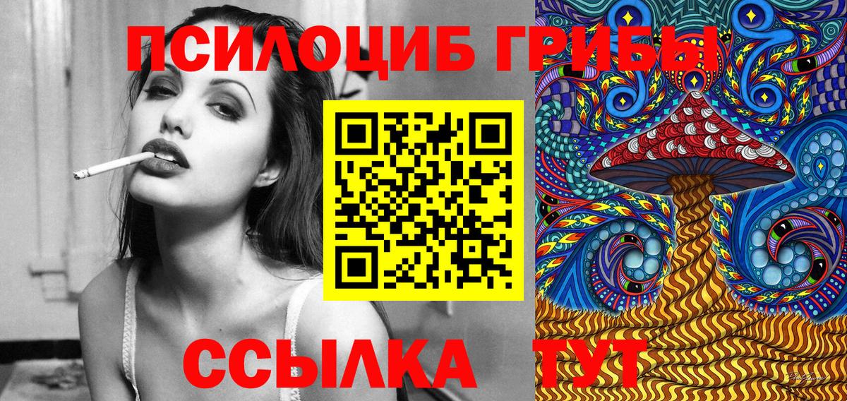 Галлюциногенные грибы Psilocybe  Вход с VPN  Клин  Галлюциногенные грибы прущие грибы 